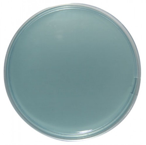 CLED Agar